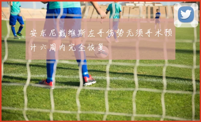 安东尼戴维斯左手伤势无须手术预计六周内完全恢复