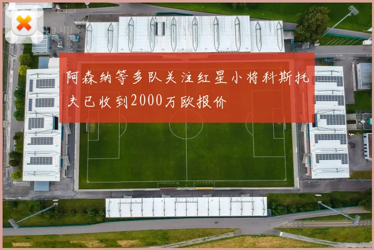 阿森纳等多队关注红星小将科斯托夫已收到2000万欧报价